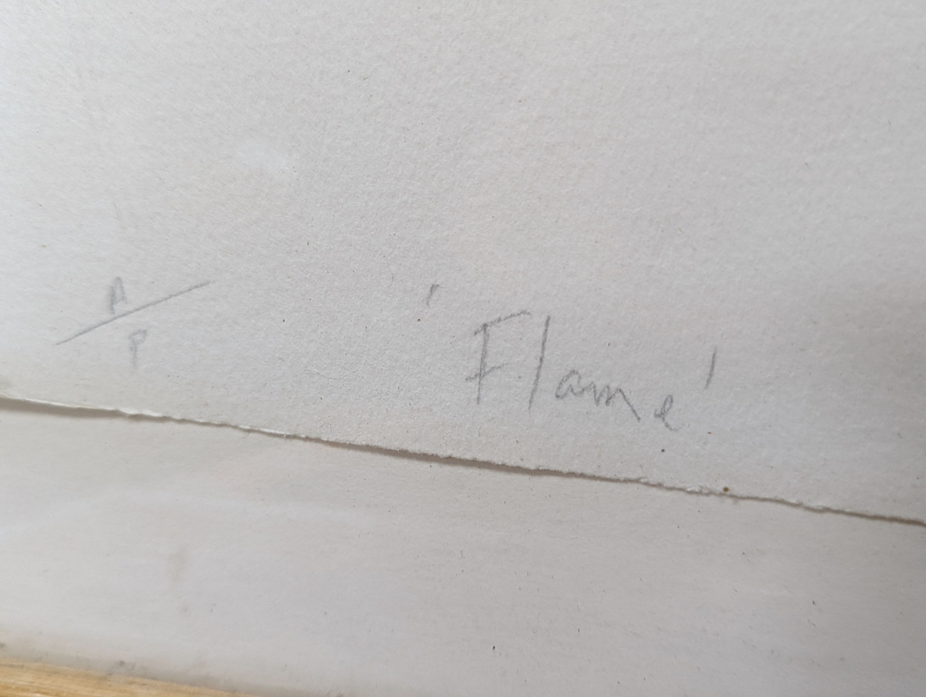 Vanda Harvey (1957-), artist proof print, 'Flame', signed in pencil and dated '90, 75 x 105cm